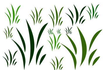 The green grass vector with white background 