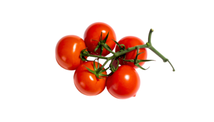 Vine of five ripe red tomatoes, vibrant and fresh, on black