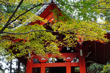 比叡山延暦寺の朱塗りのお堂と紅葉した木々