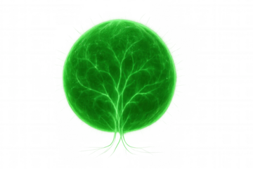 Green glowing life force sphere with energy veins, growing mystical tree roots, environmental concept on transparent background
