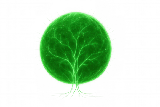 Green glowing life force sphere with energy veins, growing mystical tree roots, environmental concept on transparent background