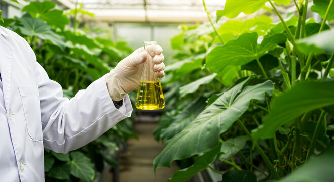 Scientist in a white lab coat and glove holding a yellow liquid in a glass flask inside a sunny greenhouse - Powered by Adobe