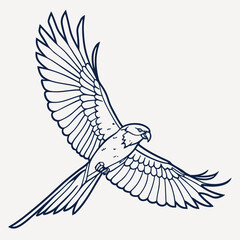 A striking dark blue line art illustration of a majestic hawk in mid flight with its wings spread wide against a plain off white background