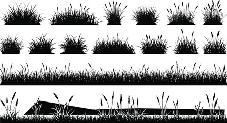 Black silhouette grass clumps and reeds on white background nature