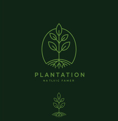 Elegant Minimalist Plantation Logo Design with Leaf and Roots for Natural Farms and Eco-Friendly Brands