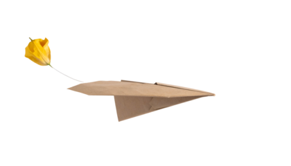 Paper airplane and yellow tulip, soaring on black