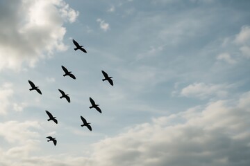 Obraz premium Silhouettes of birds flying in formation across a cloudy blue sky during daylight, symbolizing migration, freedom, and peaceful natural harmony. Ai generative