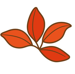 red leaf isolated on white background
