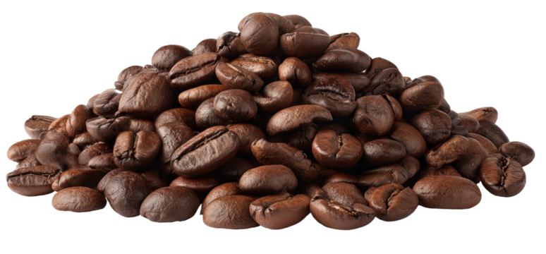 A pile of dark brown coffee beans (1)