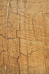 Natural wood background with cracks