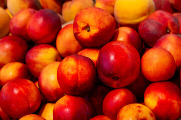 Nectarines, clean and shiny, lie in a pile as a background. A close-up of the fruit in bulk