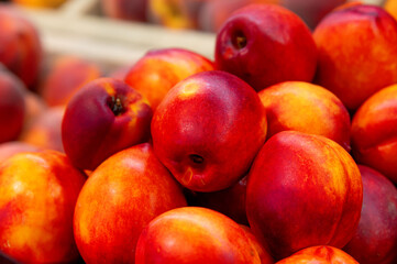 pile of fresh, polished nectarines on the farm store counter. It's the busy season for the planned fruit
