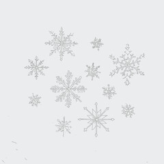 Arrangement of delicate snowflakes in varying sizes scattered on a white background creating a winter scene vector illustration
