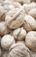 Close up photo walnuts of various sizes, selective focus