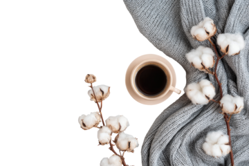 Cozy coffee scene with cotton.  A light beige coffee cup sits atop a gray knit blanket, surrounded by fluffy cotton branches.  Black background
