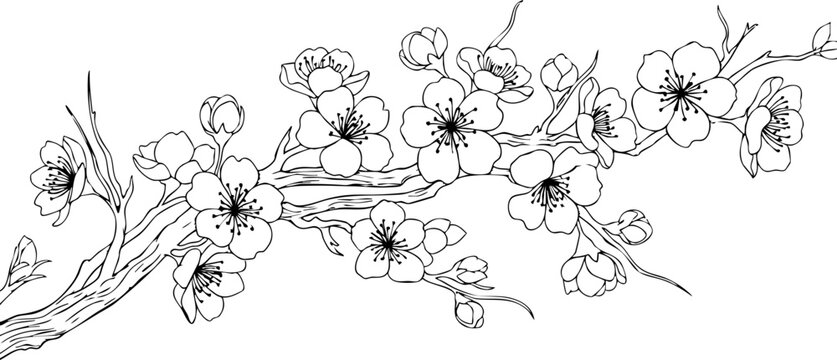 Delicate cherry blossom branch with a butterfly, capturing spring's ephemeral beauty and natural grace for serene designs.