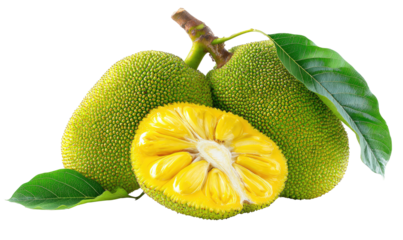 Two whole jackfruit and a slice, vibrant green and yellow.  Fresh tropical fruit with leaves