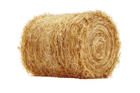 A tightly rolled bale of straw, light golden-tan color, showing concentric circles of the material