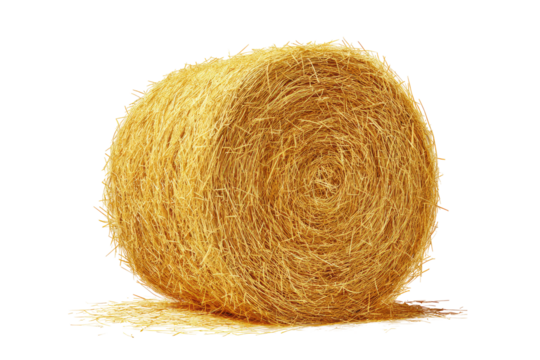 Round bale of straw, golden yellow, tightly wound, slightly irregular shape