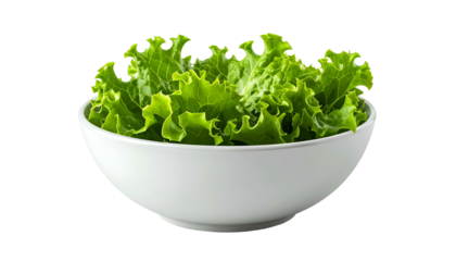 Green, curly lettuce overflows a white bowl. Isolated on black