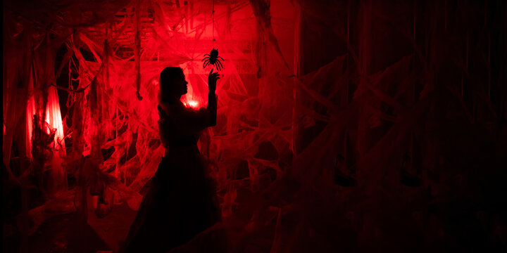scary ghostly woman with spider in spiderweb, halloween nightmare scene on red bloody background