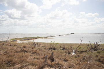 Nature reserve and salt mines in Río Lagartos on the Yucatan Peninsula in Mexico.