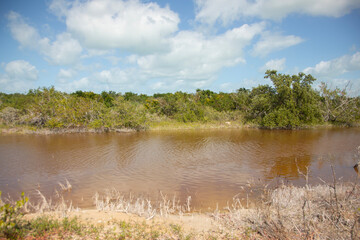 Nature reserve and salt mines in Río Lagartos on the Yucatan Peninsula in Mexico.