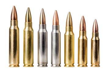 Row of various ammunition cartridges of varying sizes and metallic hues