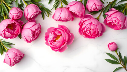 Blooming pink peonies floral arrangement indoor nature aerial view beauty