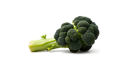 Fresh broccoli harvest grocery store food photography bright environment close-up view