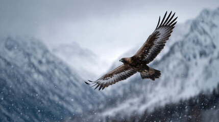 A golden eagle soaring above a snow-covered mountain range, wings outstretched as snowflakes dance in the wind