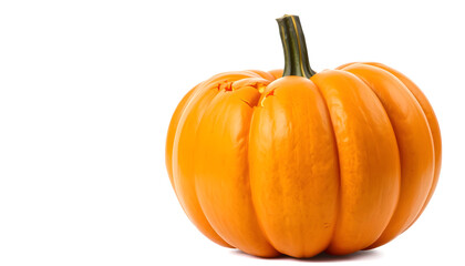Harvesting fresh pumpkins farm market photography outdoor close-up autumn vibes