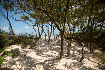 Nature reserve and beautiful beach in Río Lagartos on the Yucatan Peninsula in Mexico.