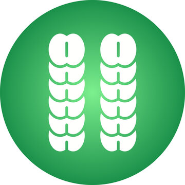 vector illustration of a green leaf
