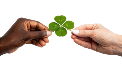 Two hands holding four leaf clover isolated on transparent background for luck