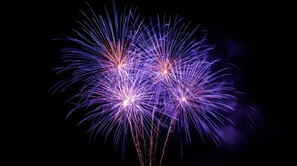 Fototapeta premium Vibrant Fireworks Display Against Night Sky, Celebration and Festive Mood for Special Occasions