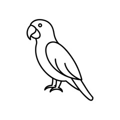Fototapeta premium Simple outline drawing of a parrot on transparent background silhouette