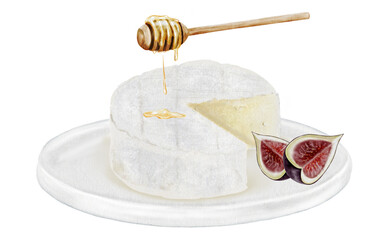 Cheese watercolor drawing. Brie, figs and honey. Hand drawn illustration of dairy cream product of French cuisine. Clip art of food on white background. Ideal for packaging of farm organic product or