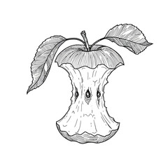 Hand-drawn sketch of a bitten apple core with leaves.