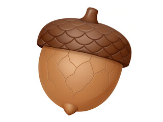 Cracked Acorn Shell Showing Inner Seed