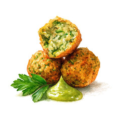 Watercolor painting of Falafel, detailed and artistic vector illustration on a white background.