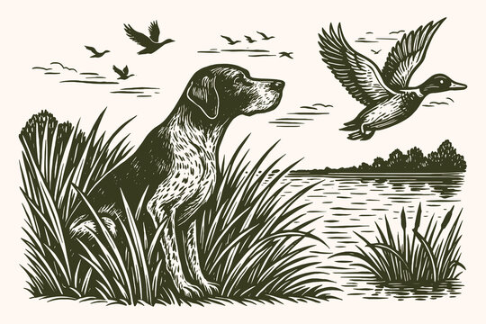 Hunting dog and ducks vintage engraving nature scene vector illustration
