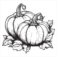 Pumpkins with leaves, silhouette on white background. 