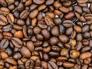 Collection of fresh coffee beans in various shades from light to dark suitable for brewing