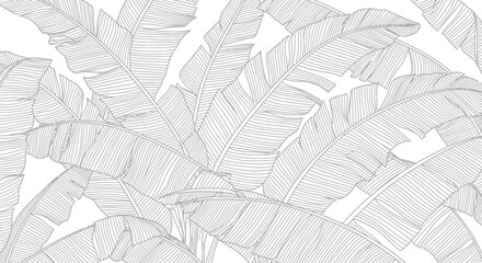 Elegant black and white botanical illustration tropical banana leaves for seamless design wallpaper