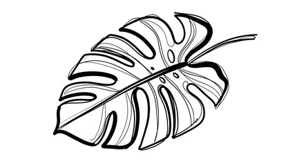 Stylized Tropical Monstera Leaf Outline Vector Illustration, Perfect for Botanical Art, Nature-Inspired Graphics, and Modern Decor Elements