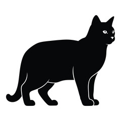 Silhouette of a sleek black cat standing alert with bright eyes silhouette