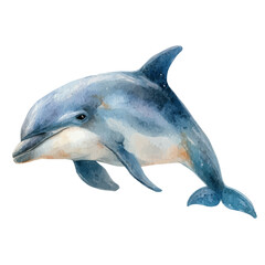 Porpoise watercolor vector illustration, high-quality artwork isolated on a pure white background.
