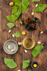 Ginkgo biloba green leaf