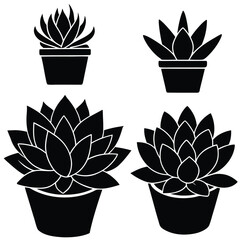 succulent plants vector set modern flat design